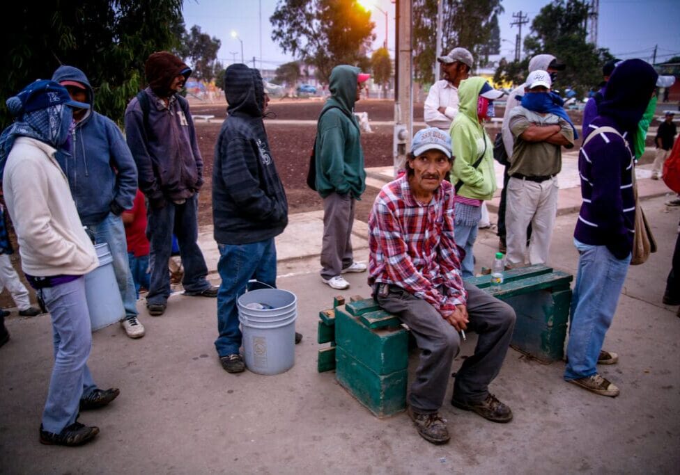 San Quintin, Baja California, Mexico, July 21 - Some seasonal farm workers wait until dawn for owners of the strawberry and flower fields to come and offer work in San Quintin, north of the Baja California peninsula.